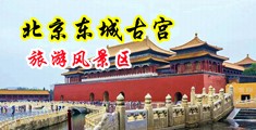 肏美女黄视频中国北京-东城古宫旅游风景区
